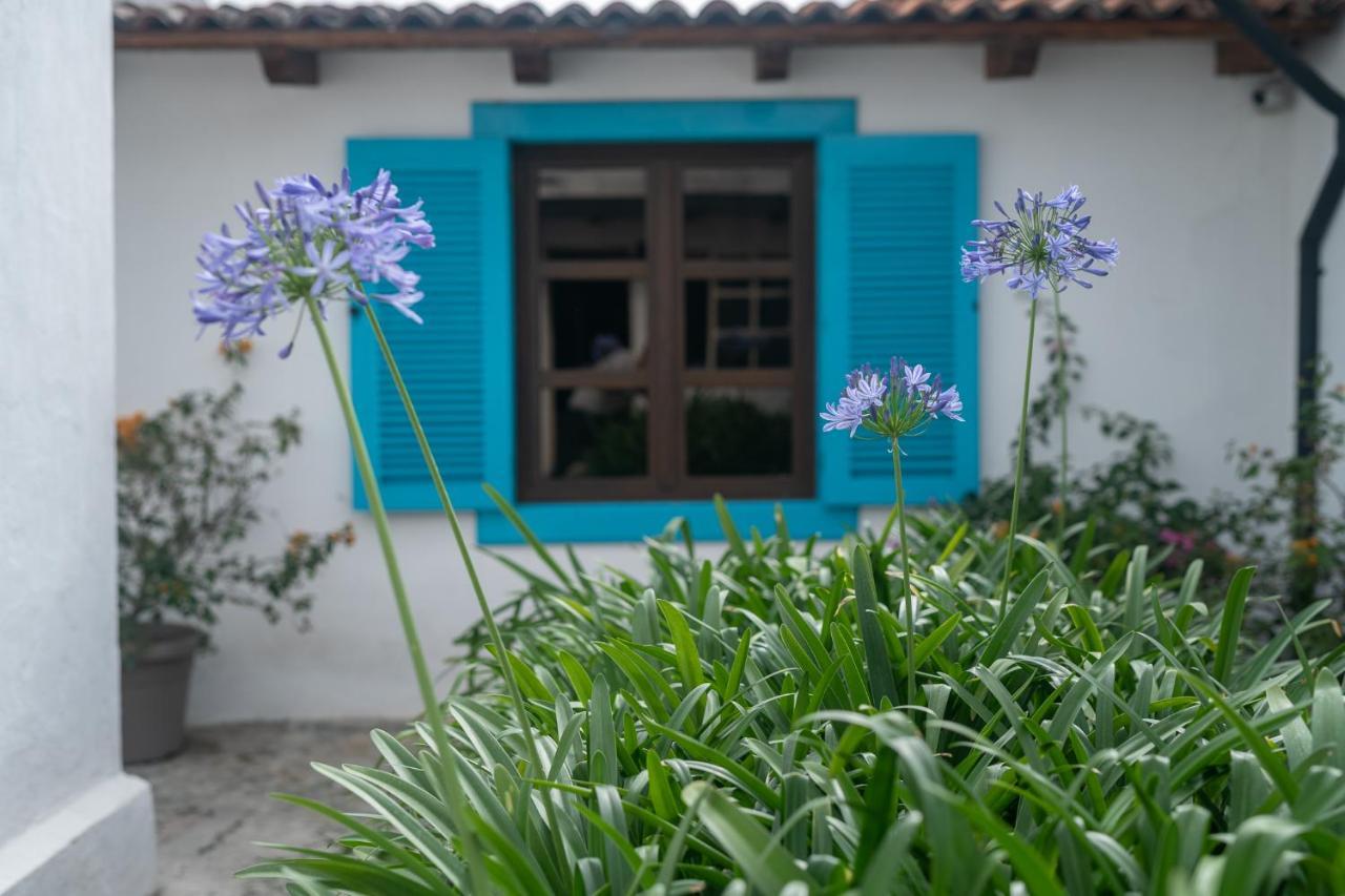 Barbara'S Boutique Hostel Antigua Zewnętrze zdjęcie